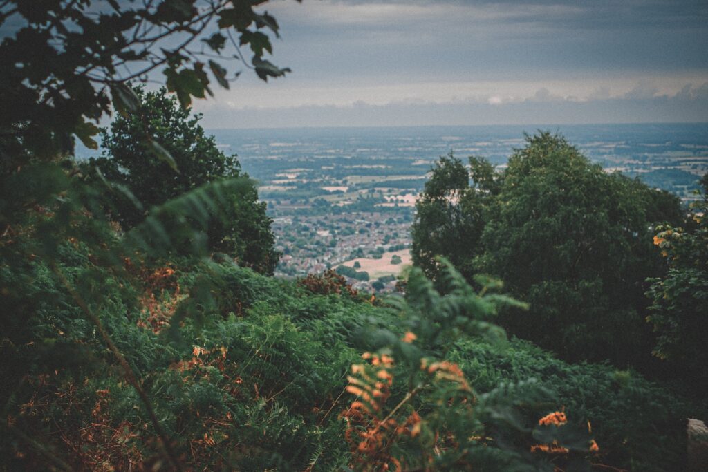 A distant English countryside summer view framed by trees on the Malvern Hills.