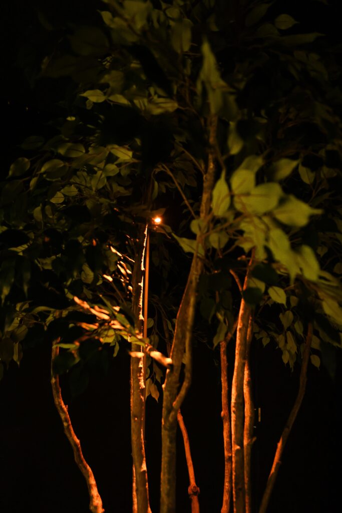 Kate Charles Garden Design Guest – Hudson Lighting Future Scape 24(1)