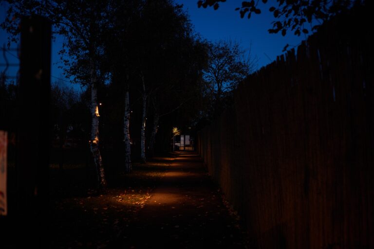 Kate Charles Garden Design Guest – Hudson Lighting Pathway to Fireworks