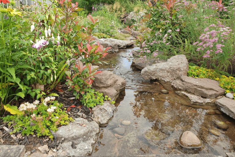 Kate Charles Garden Design – 3. Flowing Stream a stream flowing through a lush planted garden with leaves and flowers leaning over the water