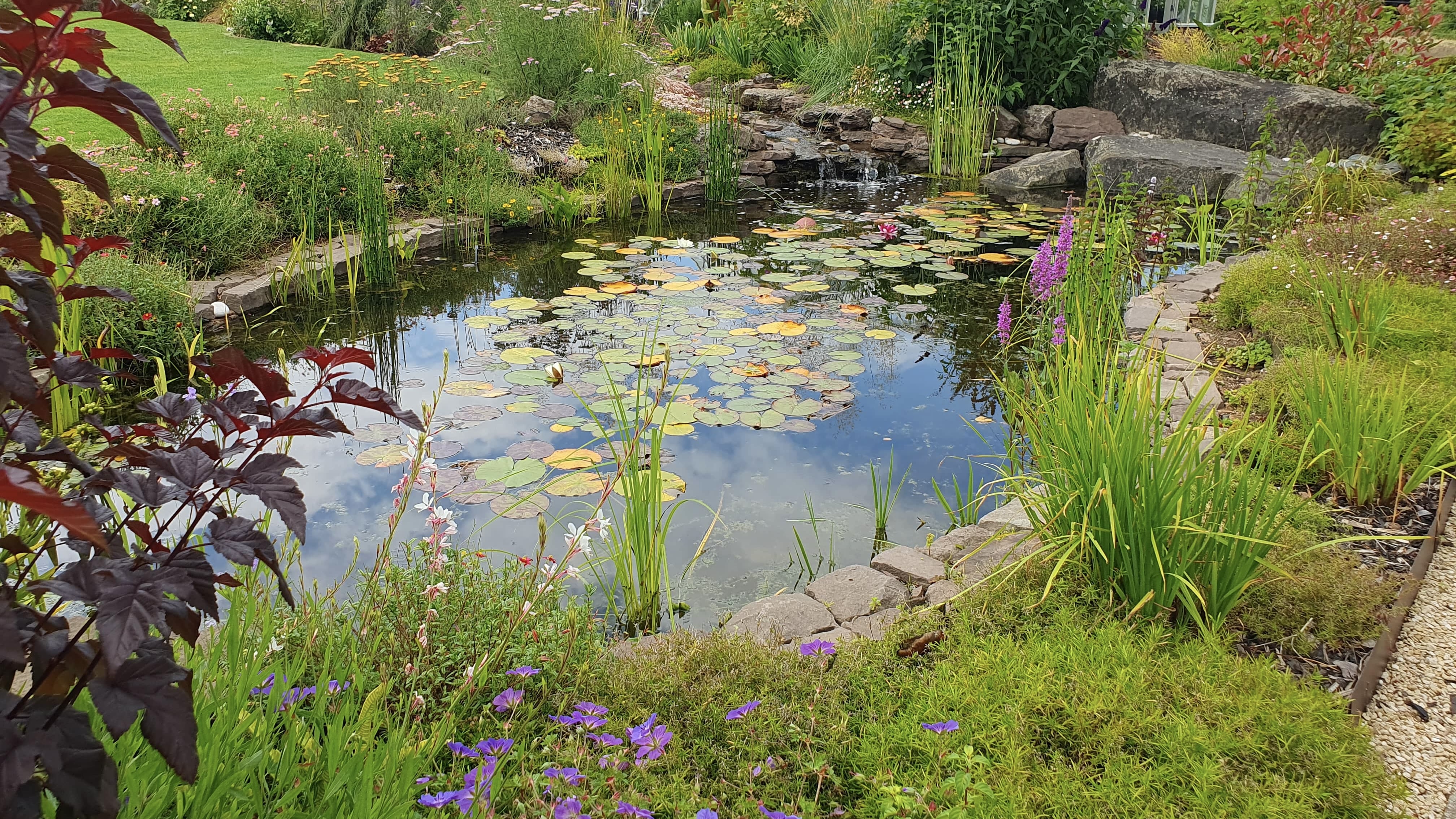 Water Feature - Large Pond and Waterfall - Wide