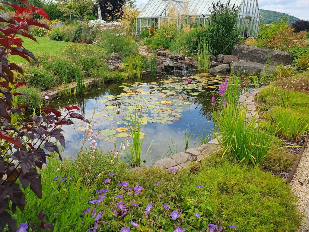 Water feature - large pond and waterfall