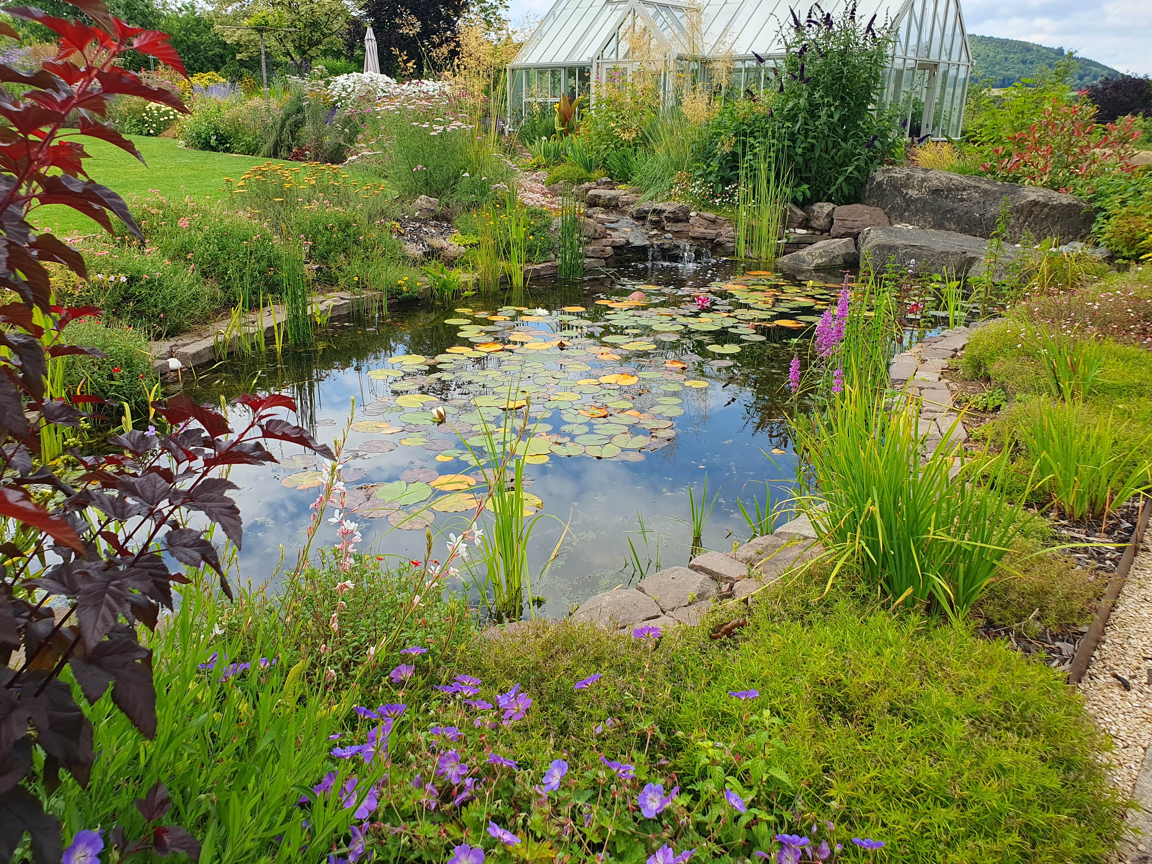 Your water feature questions, answered!
