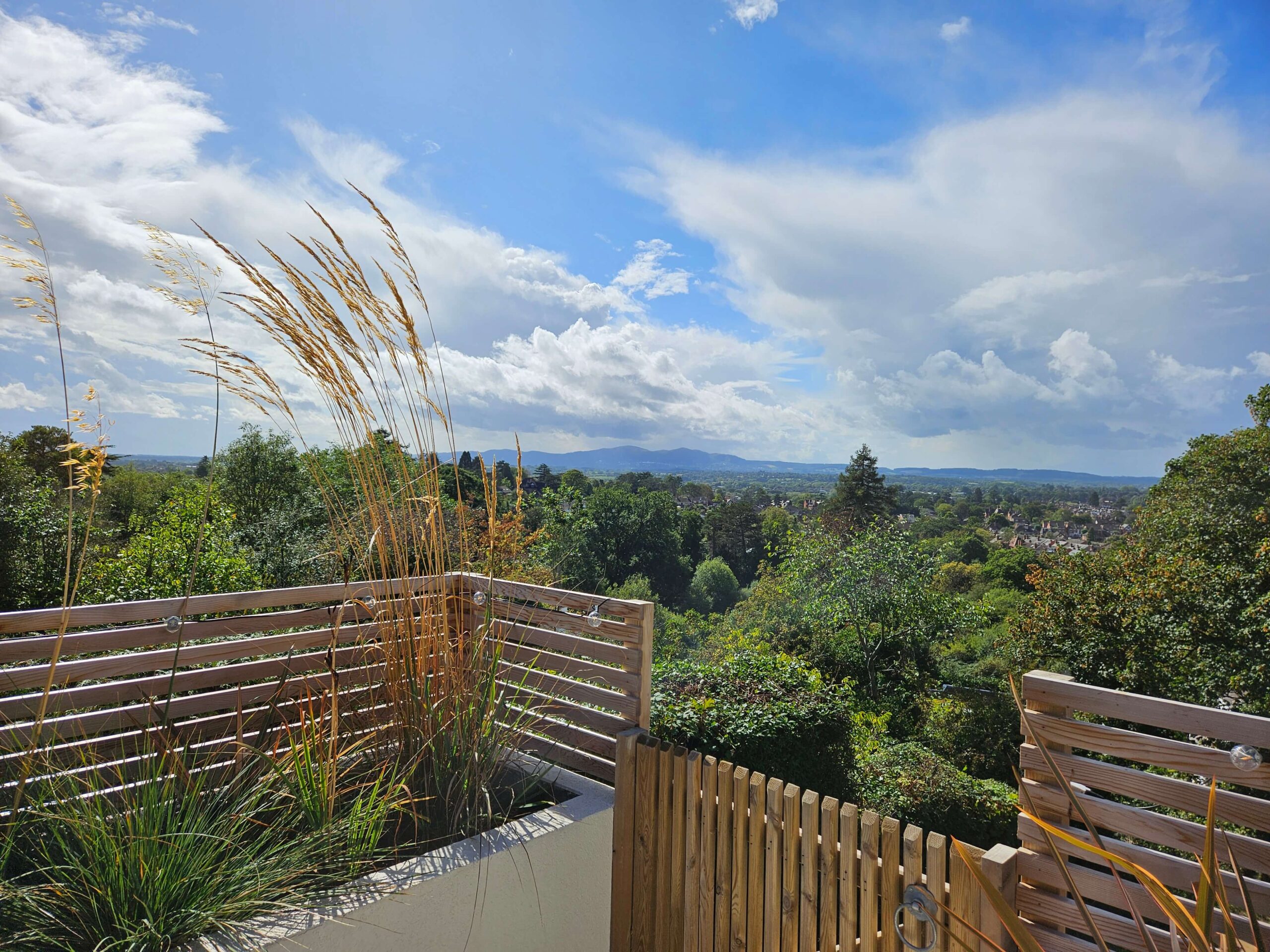 Why New Year is the best time to plan your Garden Design