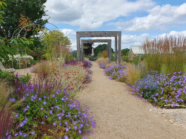 Kate Charles Garden Design - Stream Garden - 2024