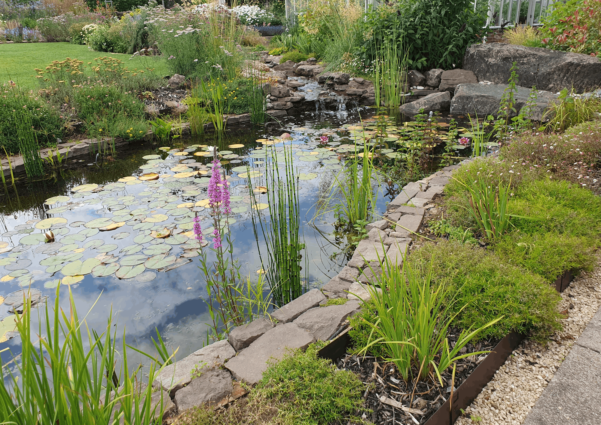 Designing Climate Resilient Gardens – safeguarding our havens for the future