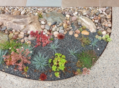 Kate Charles Garden Design - Colourful Alpine Plants