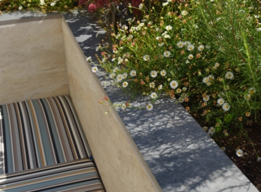 Kate Charles Garden Design - Erigeron (Mexican Fleabane) will flower all summer, and stay green over the winter