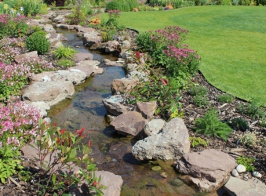 The stream from the Long walk down to the Pond Kate Charles Garden Design - The stream from the Long walk down to the Pond