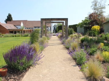 The View back down the Long Walk with semi-mature planting Kate Charles Garden Design - The View back down the Long Walk with semi-mature planting