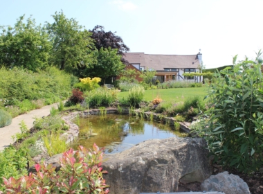 The new Pond, with planting Kate Charles Garden Design - A view across the lawn to the new greenhouse