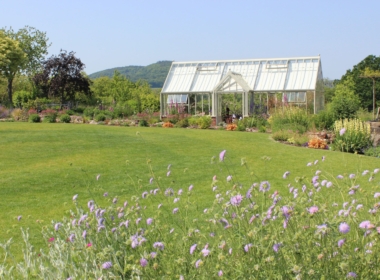 A view across the lawn to the new greenhouse Kate Charles Garden Design - A view across the lawn to the new greenhouse