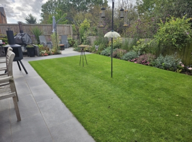 View across the garden