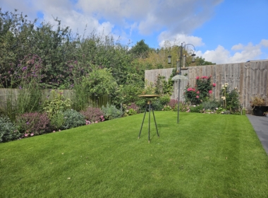 Simple, clean lines show off the client’s planting