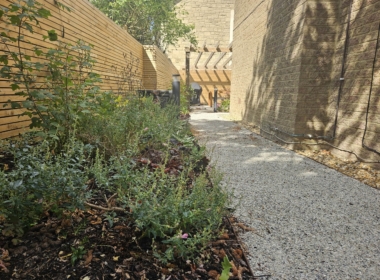 Kate Charles Garden Design - Shade planting and path