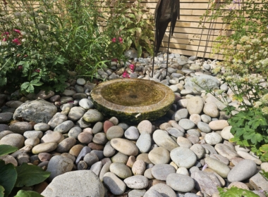 Kate Charles Garden Design -Pebbles around the water feature