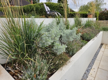 Planting Design – Mediterranean planting Kate Charles Garden Design - Planting Design – Mediterranean planting