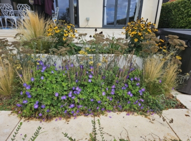 Kate Charles Garden Design - Terrace planting looks great even in autumn