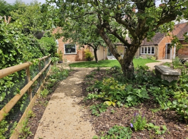 Curved paths in the garden Curved paths in the garden