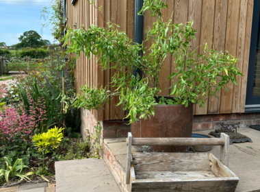 Steps up to the front door Steps up to the front door