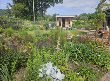 More borrowed Landscape More borrowed Landscape