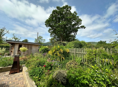 Dramatic sky shows off the planting Dramatic sky shows off the planting